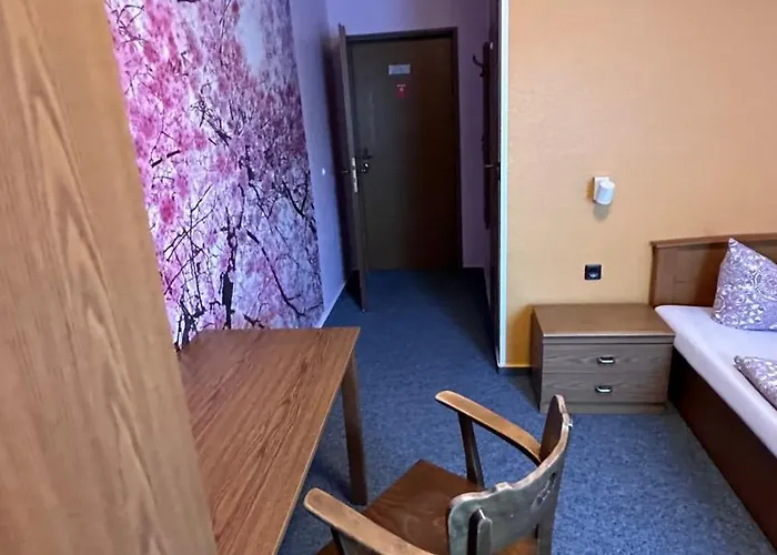 Stadthotel Bartels 3*